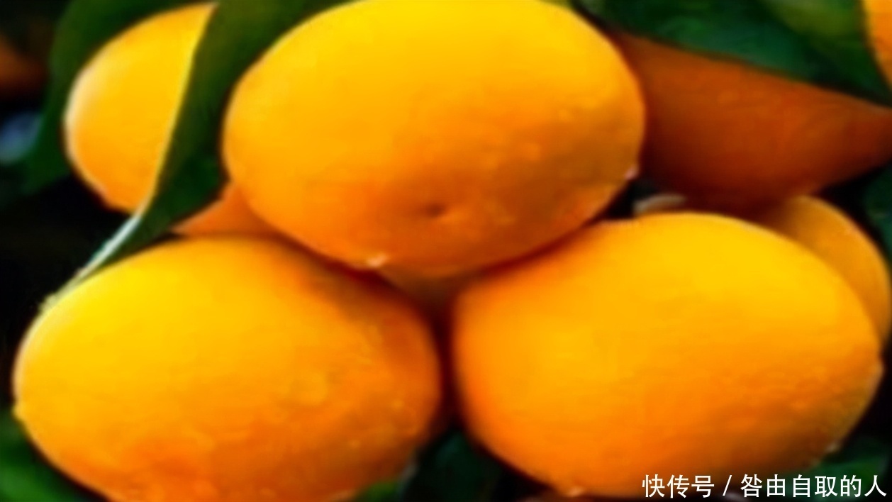 想长寿全靠吃，3种食物不能少，补充营养，提高免疫力