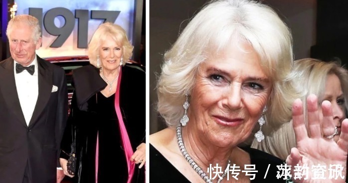 查尔斯 卡米拉的蛇形项链20年前做情人时查尔斯送的,蛇蝎气质一目了然