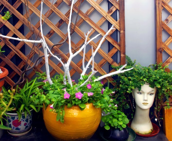 这些“花盆”真漂亮,创意十足还不花钱,“破烂”可别再扔了