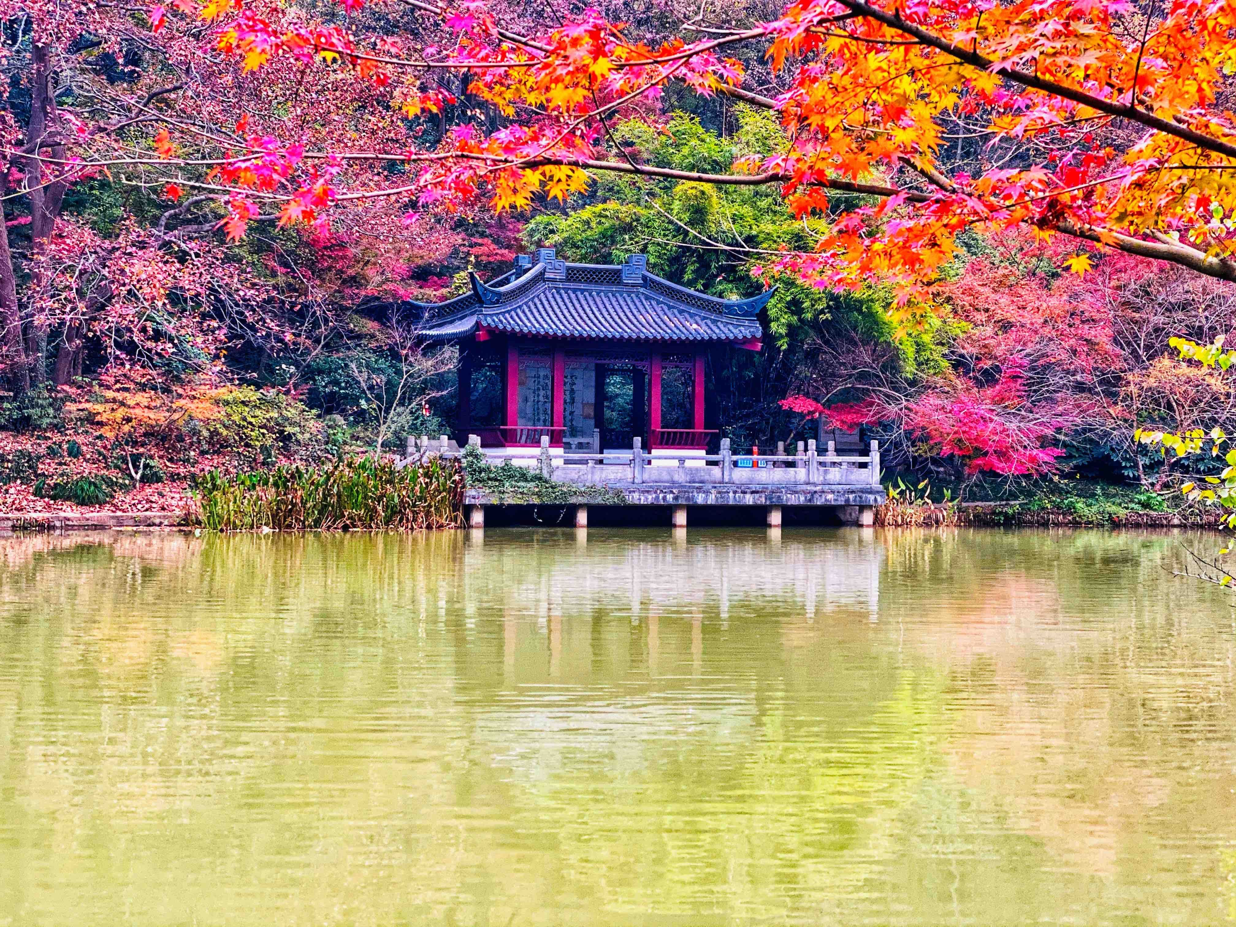 到栖霞山赏|初冬的南京栖霞山，来一场色彩斑斓的旅行