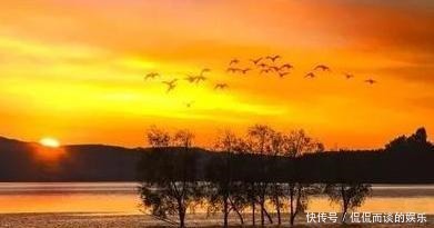 开篇|王安石晚年创作的一首诗,开篇就美不胜收,后两句更寄寓深远