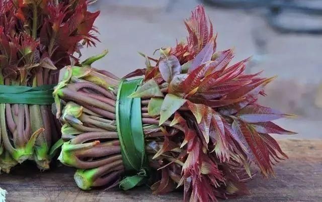 西葫芦|这8种蔬菜要少吃,建议日常减少食用量,身体健康很重要!