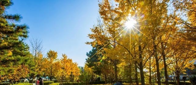 寺院|妙应寺俗称白塔寺是一座藏传佛教格鲁派寺院妙应寺始建于元朝