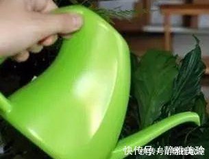 家中养花,这5毛钱的小东西别乱丢,能让花蹿到2米高,你知道了吗