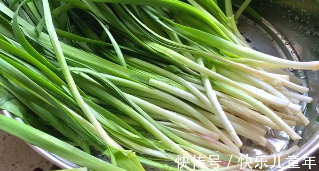 栽种|5步教你盆栽韭菜,根根粗壮“像小葱”,过年割了,包饺子