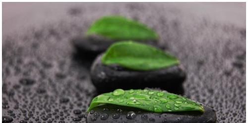 你的生活|104岁国医大师长寿经:养生先养心,心养则寿长!