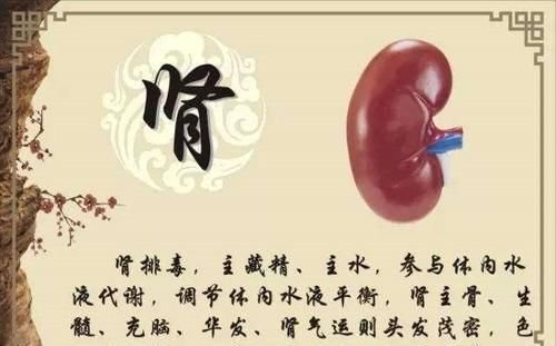 老中医：如此养我们的心、肝、脾、肺，肾，能让五脏焕发活力
