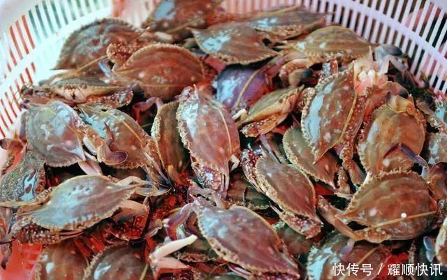 蒸螃蟹时,直接上锅蒸就废了多加这1步,蟹肉鲜嫩入味不流黄