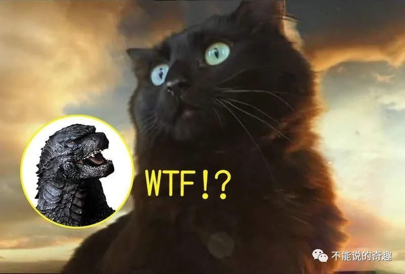 |拳拳到肉,情节可紧张可搞笑,美国夫妻将家猫放进各式电影超有趣