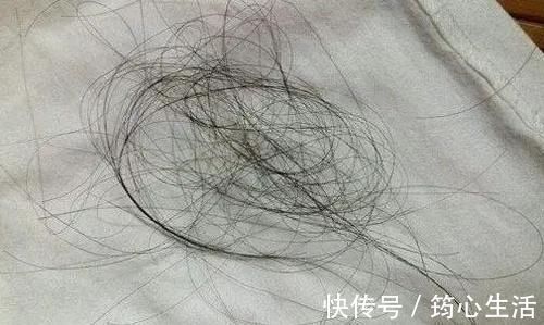 吸尘器|屋里两三天没有打扫就会出现很多“毛毛”,这是怎么回事?