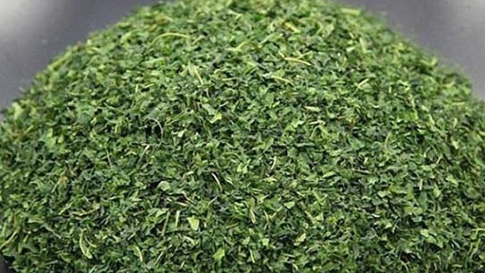 桑叶|常用此叶子泡水喝,皮肤白了,茶水洗脸还能去除色斑,女人必备