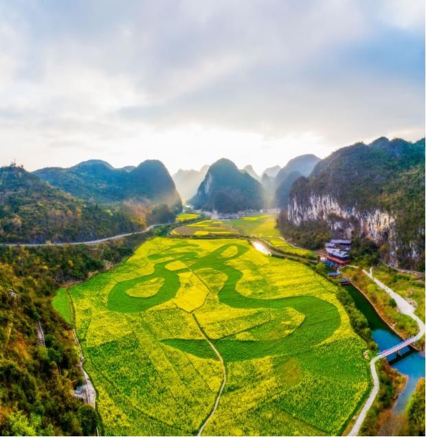 《贵州油菜花打卡指南》出炉！抓紧时间奔赴花海吧~