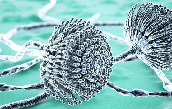 老王|“一级致癌物”已揭晓，世卫组织呼吁停止食用，劝你少吃几口