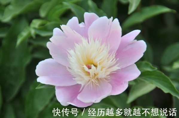 贵气|贵气降临的4大“吉兆”,具备2个以上,财运、福运随你挑!