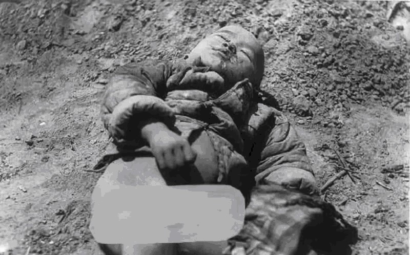 爱子|抗日英雄携娇妻爱子共赴刑场,周围群众看到这一幕,含着眼泪肃然低头