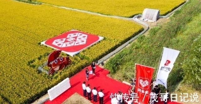 阿里系|拼多多撼动了淘宝的根基，张勇为3年前所说的话感到后悔了吗？