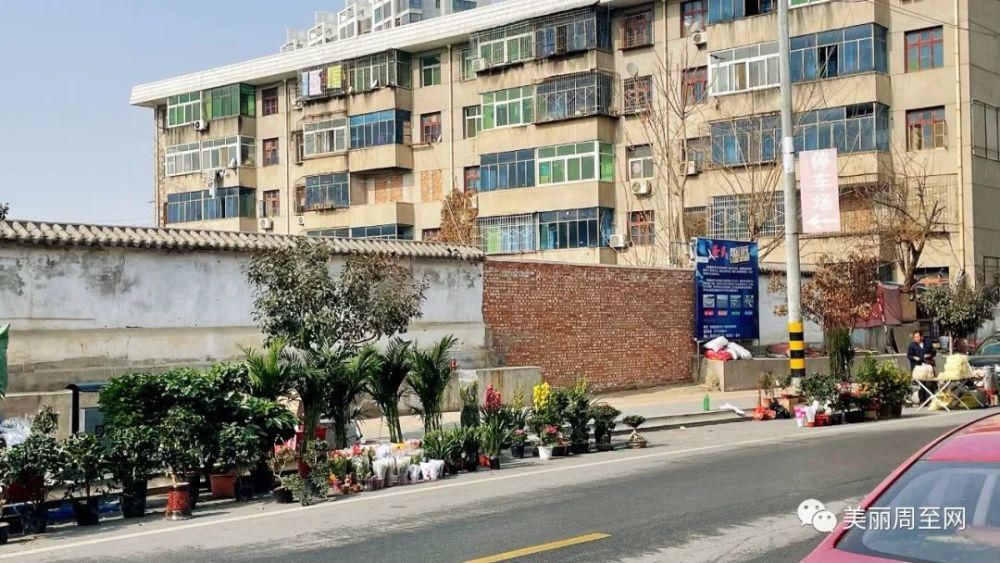 老城|周至县城有条街，叫面粉厂巷子...