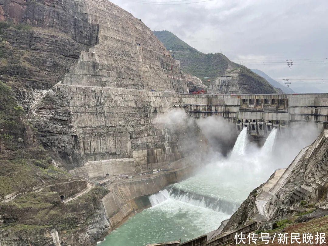 临床症状|7月19日·上海要闻及抗击肺炎快报