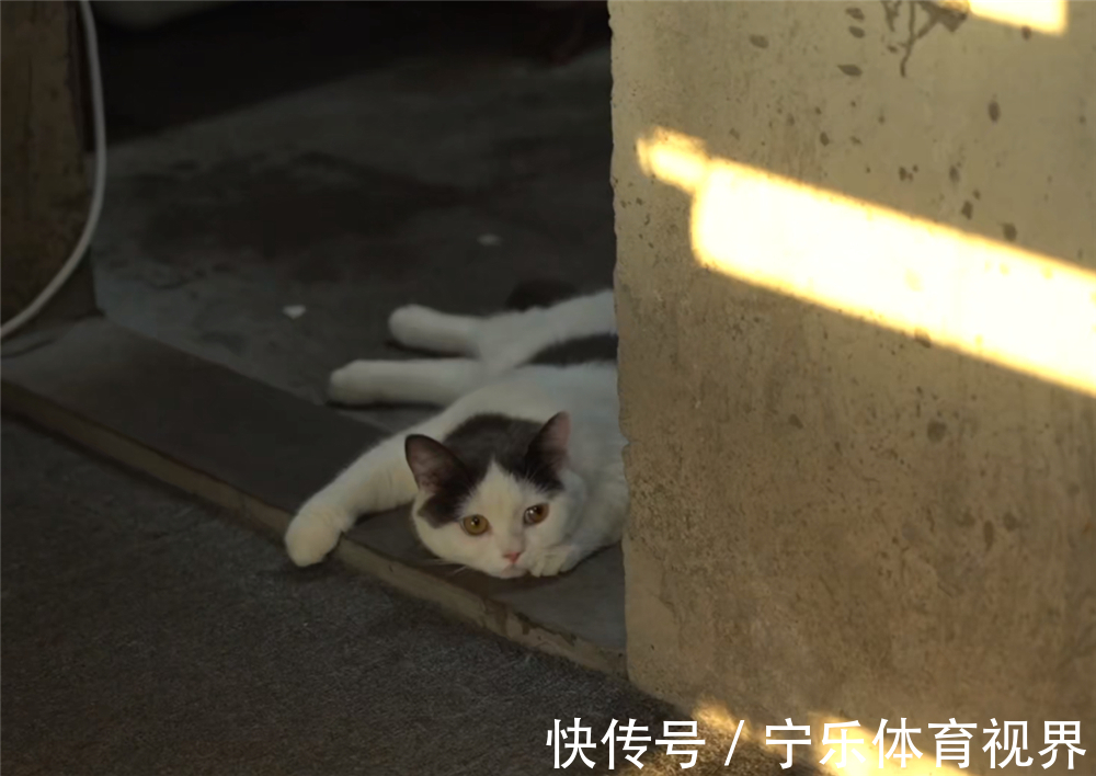 装修|东北小夫妻住了3年毛坯房,简不简陋不清楚,但是家居用品真全乎