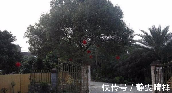 自建房|晒晒农村自建房,里里外外花了不到50万,一点不比城里的别墅差