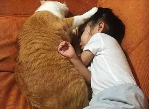 深度睡眠|妈妈带娃孩子不长个,奶奶带娃身高猛涨,医生:都是午睡惹的祸