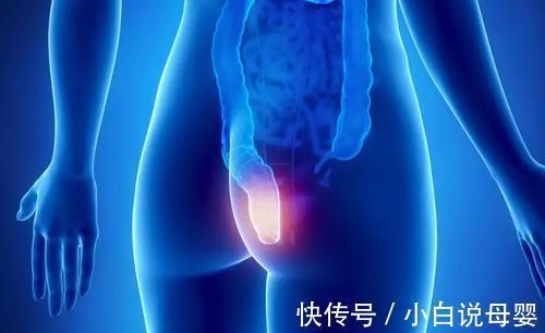 卫生|痔疮肉球脱出怎么缩回去?卫生组织终于公布市场调研结果!