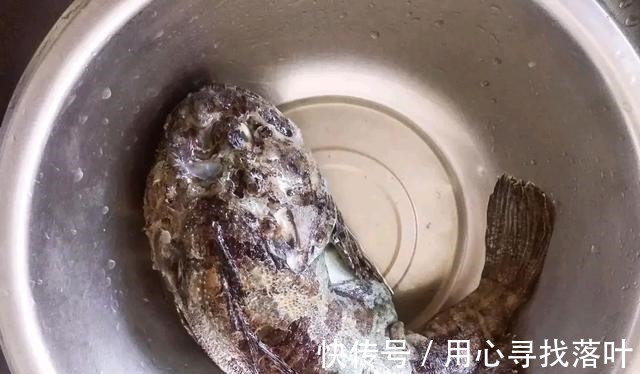 海鱼|休渔期结束,海鲜市场上“最丑”的3种鱼,只有内行才会买来吃!