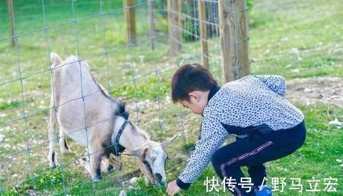 为人父母|孩子将来能否有本事,早已“命中注定”,李玫瑾:看这3个方面