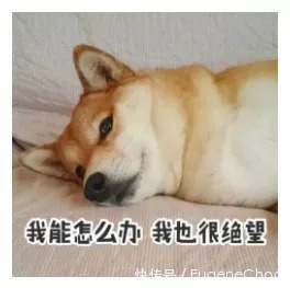 仓储容量|无限库容来了亚马逊全新FBA仓储容量政策上线!