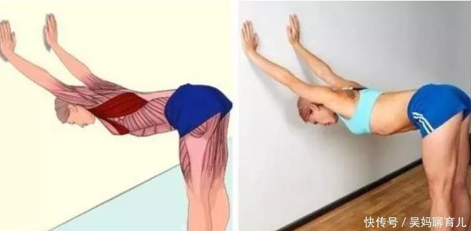 腘绳肌|全身拉筋3D图解,一步到位,在家也能强身健体