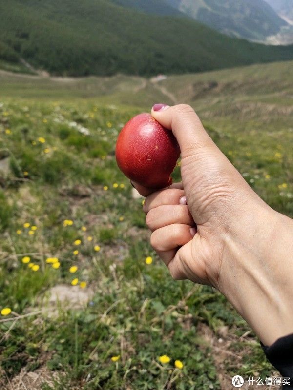 篇一|小小笙南看世界 篇一：五台山是场人生修行——修的一颗不污不垢平和的心