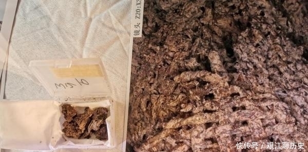 丝绸|中国丝绸博物馆馆长:五千多年前的最早丝绸是如何发现的?