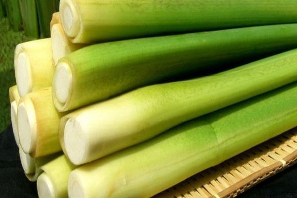 茭白|哺乳期常吃6种食物,催乳效果好,能让宝宝吃得更香