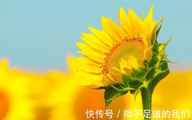 外部世界|1天后，静观其变，顺其自然，桃花旺盛，幸福向你招手