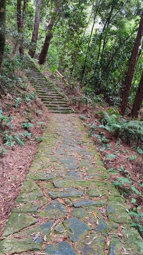 去过|青秀山低调而又别具一格的景点，你可能没有去过