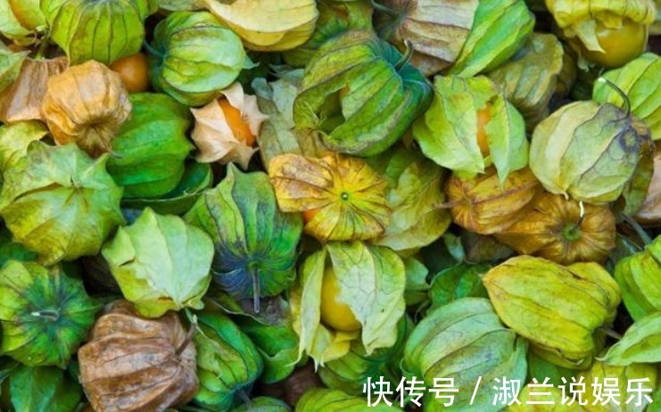 营养成分|女人想要变美不妨常食此果,每天一个,美容养颜,吃到就是捡到宝