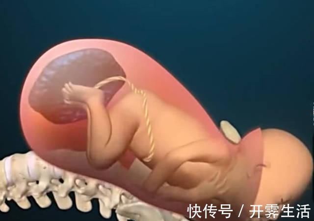 拉玛泽|顺产到底有多“疼”看到第3张图,也许你会明白