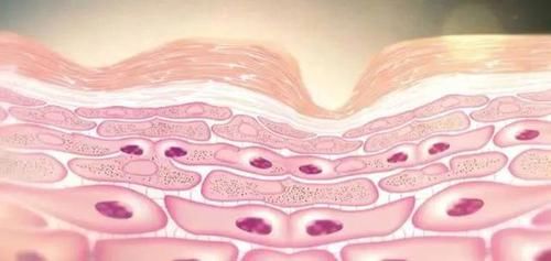 如何减缓衰老？BBC纪录片：做到这三点，老的慢没难度！