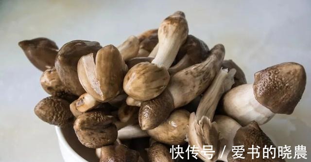 舌尖|「舌尖上的永胜」之鸡枞油!
