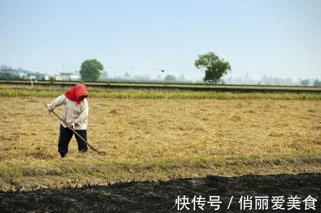 心血管疾病|以前吃猪油,为啥很少心血管疾病?现在不吃了,病却多了起来?