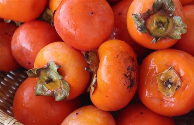 苦涩味|暖柿子,教你两个小技巧,柿子香甜脆爽又好吃,方法超简单