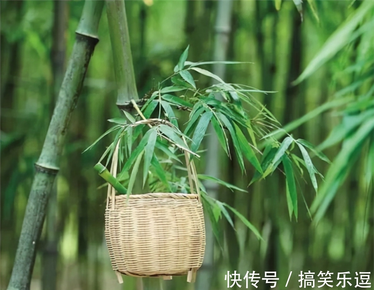 风水！坟边长竹须迁坟，坟前两物成富人，“两物”是什么？