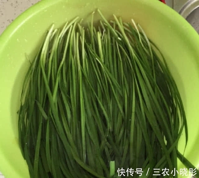 韭菜|农村此种不起眼的野草,以前农民常常当成韭菜,现在是珍贵草药