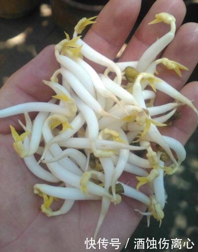 73岁老奶奶，从重度肝硬化到肝功正常，半年只用了1个诀窍