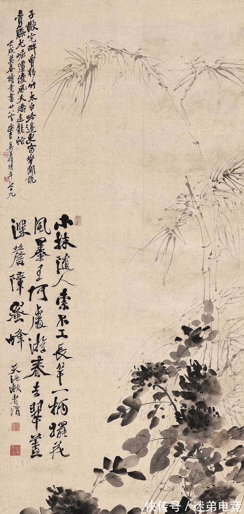 八大山人|青藤八大和缶老:让齐白石甘愿做门下走狗,这三位大师到底多厉害