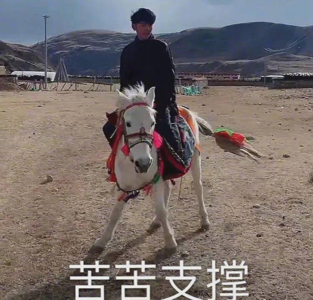 人生第一次|丁真谈第一次去大城市感受喜欢玩鬼屋，不羡慕成都，仍喜欢家乡