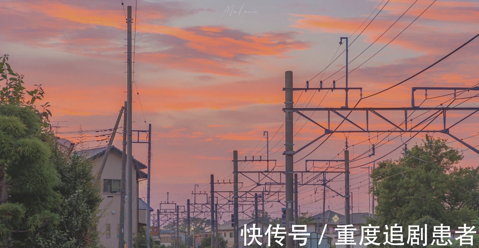 你怎么欺负人&推文茶话会|荔枝很甜大大合集 强推《你怎么欺负人》等 好好看