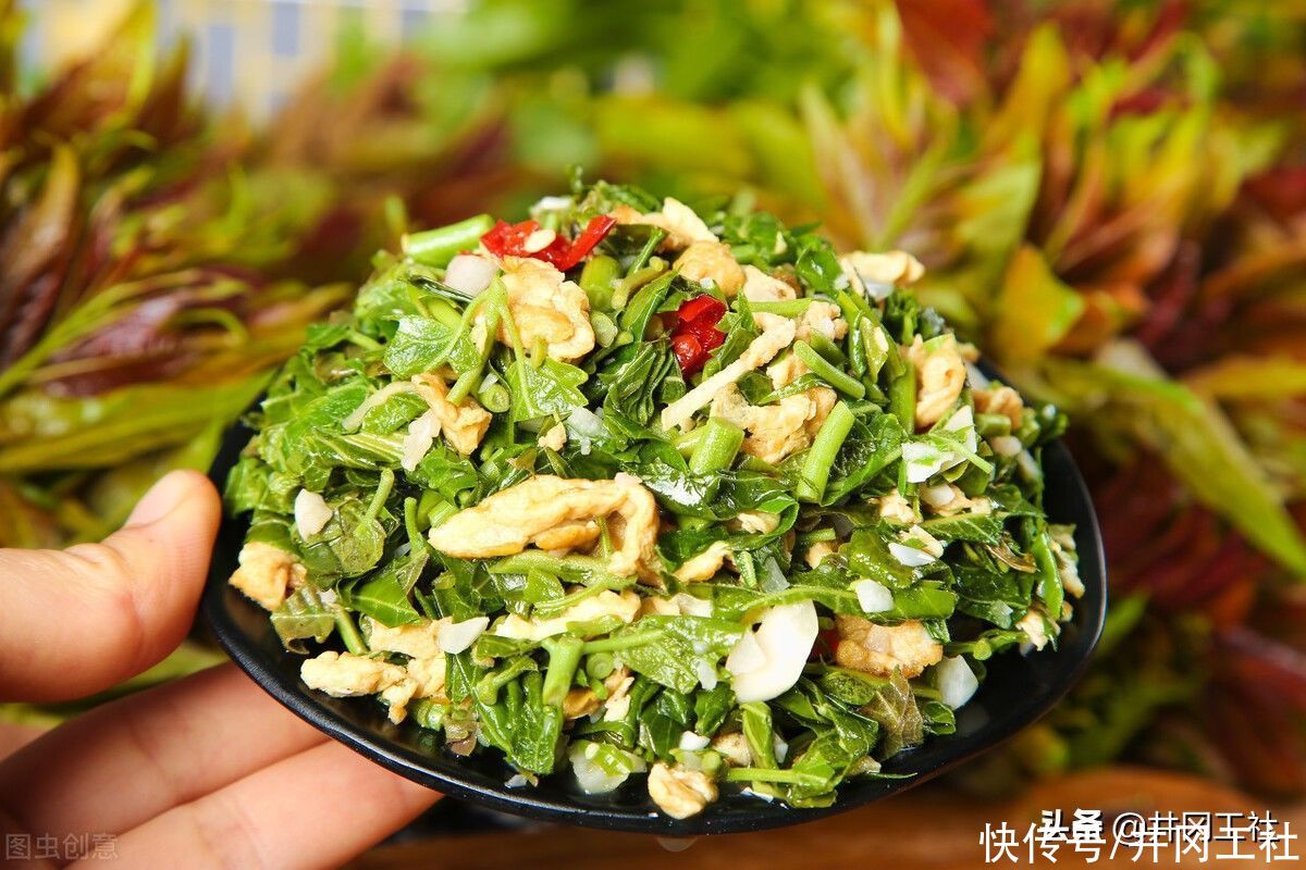 春天必吃的美食，三种香椿家常菜做法，鲜嫩可口，清爽又刮油