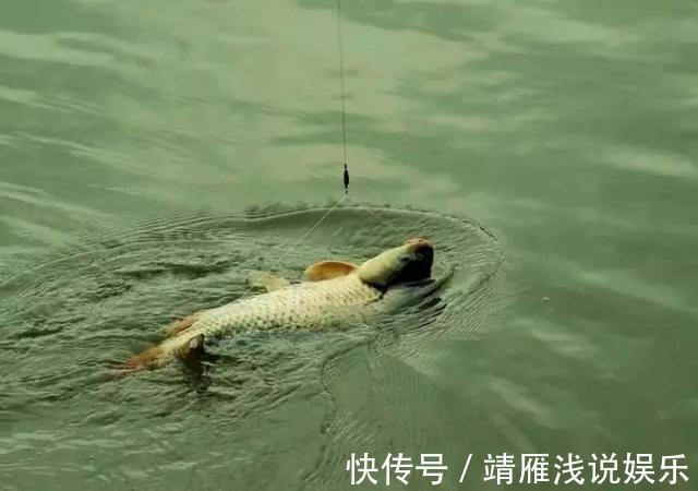 这几个迹象出现时，说明大鱼已经进窝了