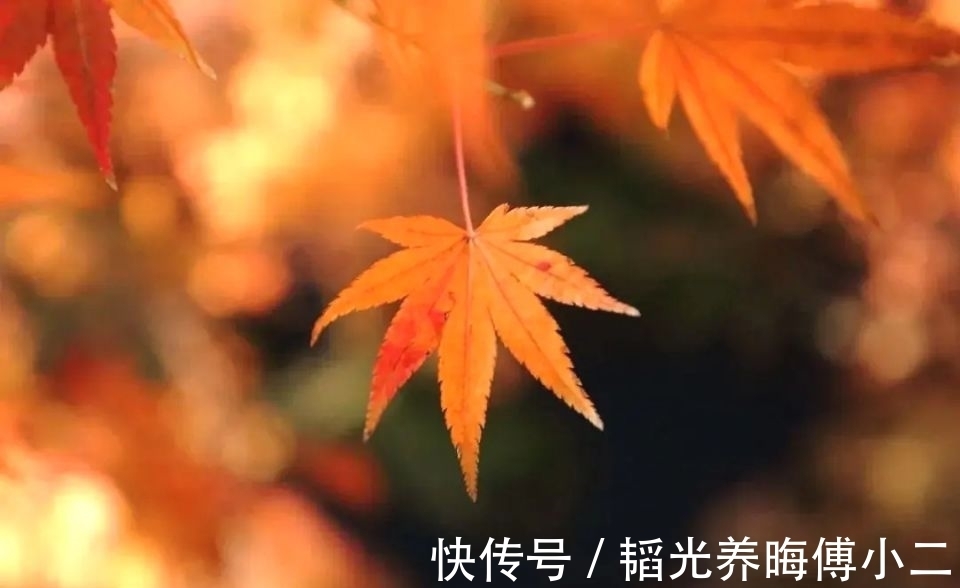 鲈鱼@七言绝句◆日暮独倚栏